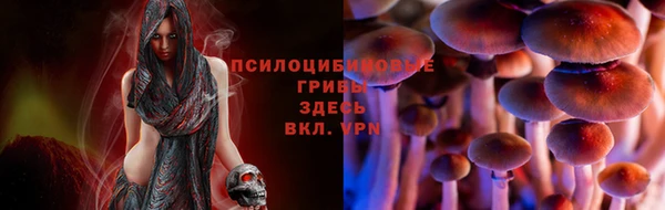 дживик Балабаново