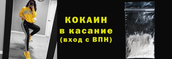 прущие грибы Армянск