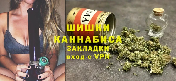 прущие грибы Армянск