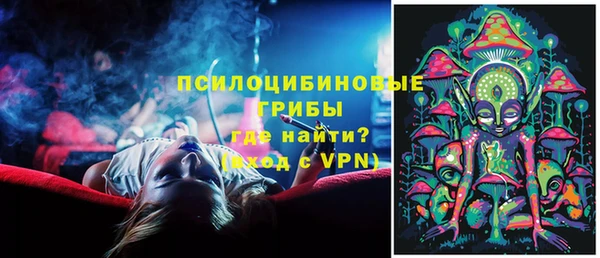 ешки Аркадак