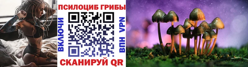 Галлюциногенные грибы мицелий  omg маркетплейс  Петухово  что такое  
